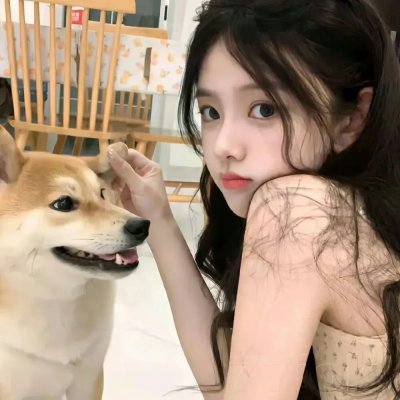 当狗爱上猫粤语