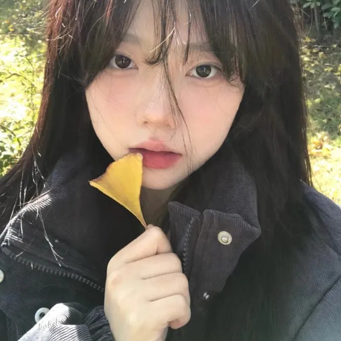 老婆大人粤语